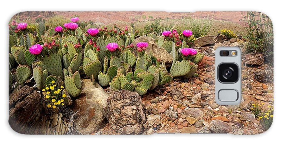 Vermillion Galaxy S8 Case featuring the photograph Desert Cactus in Bloom by Tranquil Light Photography