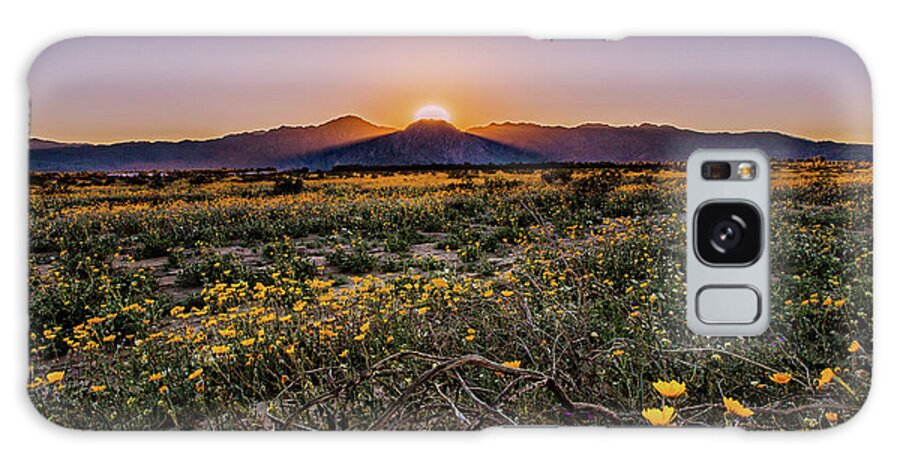 Desert Galaxy Case featuring the photograph Desert Vitality by Ryan Weddle
