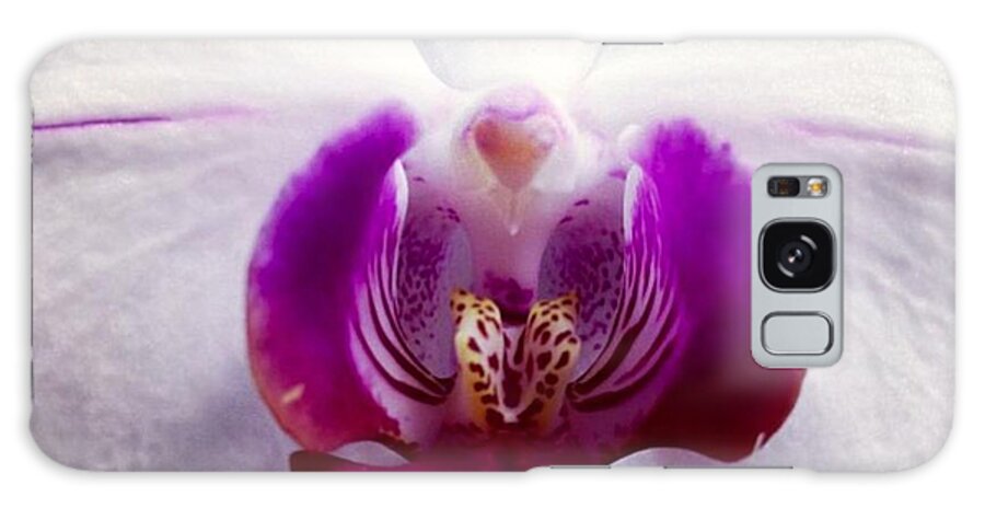 Orchid Galaxy Case featuring the photograph Love by Denise Railey
