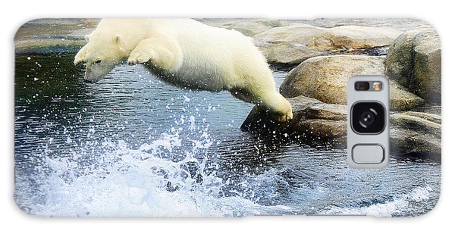 Polar Bear Galaxy Case featuring the photograph Dinner Dive by Keith Lovejoy