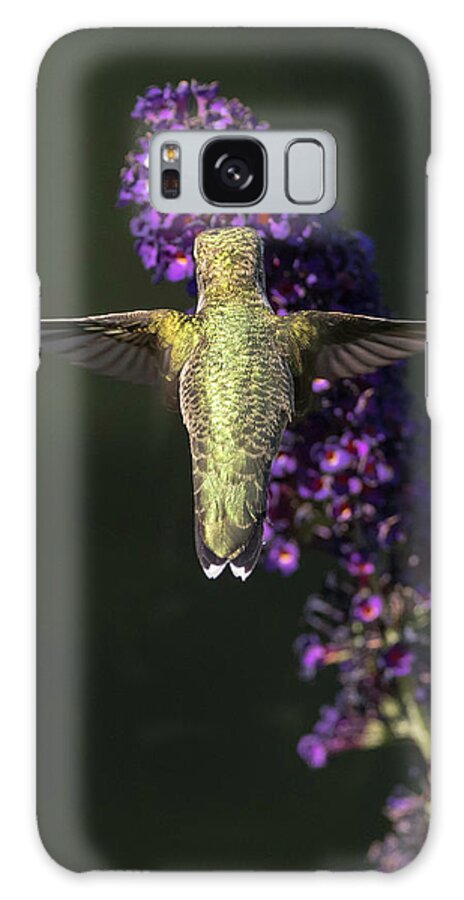 Hummingbird Galaxy Case featuring the photograph Divine Beauty by Everet Regal