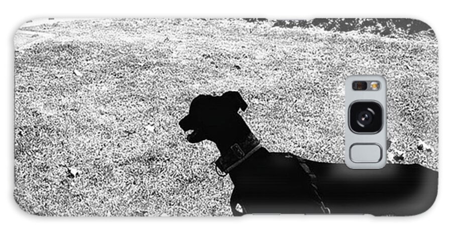Animal Galaxy Case featuring the photograph #dog #animal #pet #dogsofinstagram by Rafa Rivas