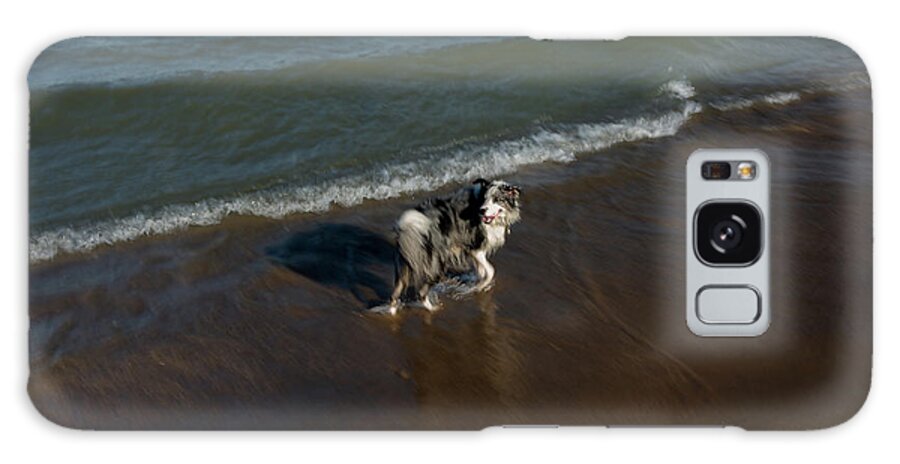 Dog Galaxy Case featuring the photograph Dog Beach by Sandra Nesbit