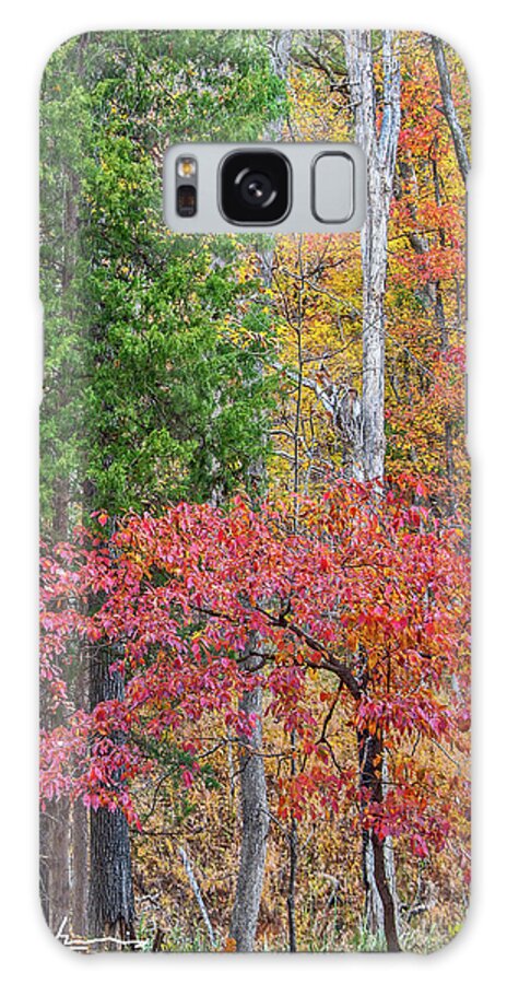 Vertical Galaxy S8 Case featuring the photograph Dogwood and Cedar by Tim Fitzharris
