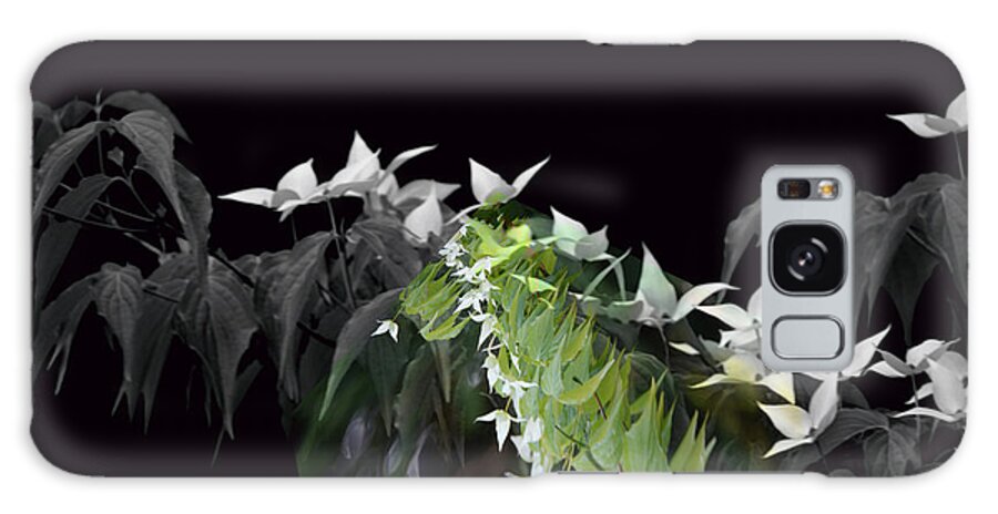 Dogwood Flowers. Flowers Galaxy Case featuring the photograph Dogwood Shades of Grey by Elaine Hunter
