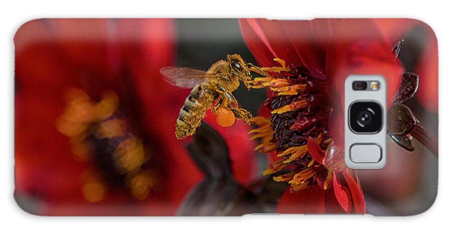 Bees Galaxy Case featuring the photograph Doing His Bees-ness by Bill Roberts