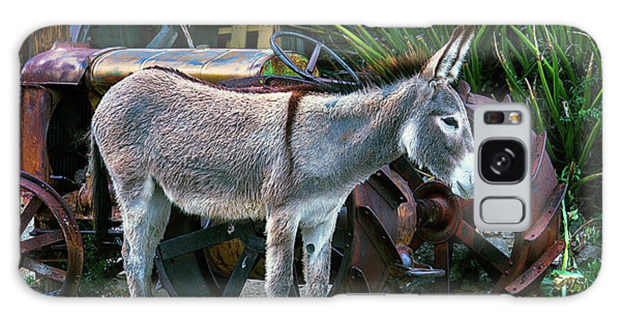 Wild Donkeysdonkey Galaxy Case featuring the photograph Donkey And Old Tractor by Garry Gay