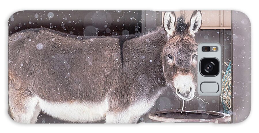 Donkey Galaxy Case featuring the photograph Donkey Watching It Snow by Jennifer Grossnickle