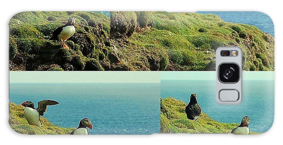 Puffins Galaxy S8 Case featuring the photograph Double Act by HweeYen Ong