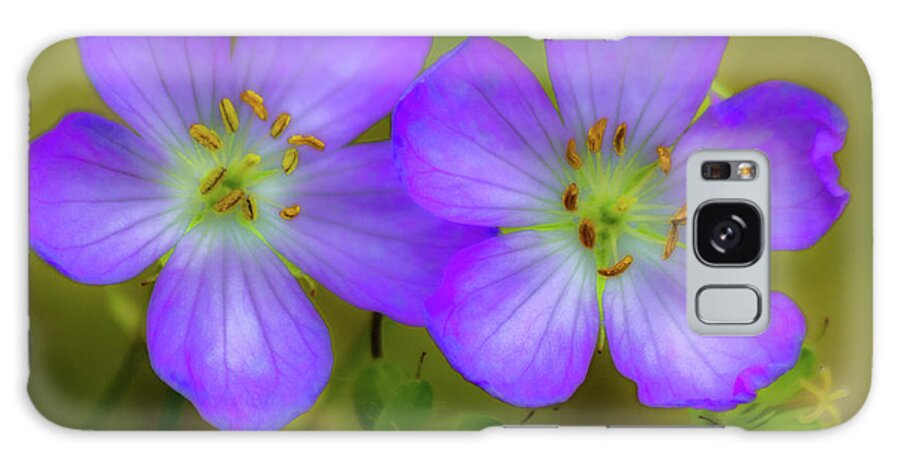 Flower Galaxy Case featuring the photograph Double Beauty by Rod Best
