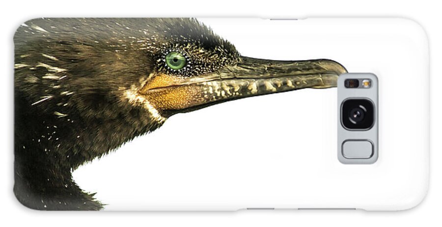 Nature Galaxy Case featuring the photograph Double-crested Cormorant by Robert Frederick
