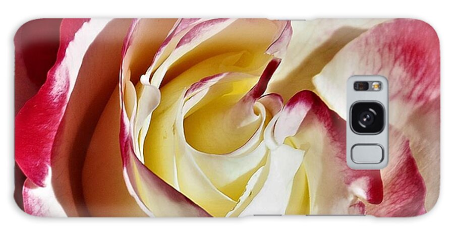 Rose Galaxy Case featuring the photograph Double Delight Rose by Jerry Connally