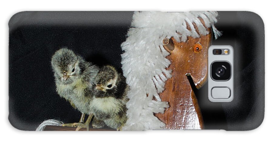 Bird Galaxy Case featuring the photograph Double Seat Rocking Horse by Donna Brown