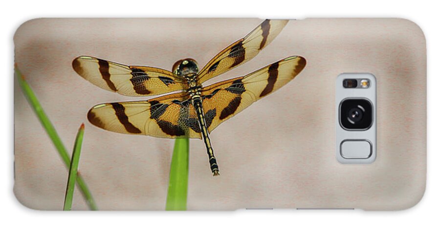 Dragonfly Galaxy Case featuring the photograph Dragonfly on Grass by Tom Claud