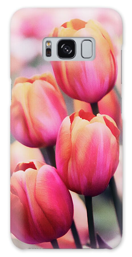 Tulips Galaxy Case featuring the photograph Dreaming Tulips by Jessica Jenney