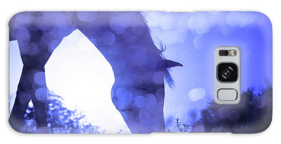 Horse Galaxy Case featuring the photograph Dreamy Sunrise in Blue by Sari ONeal