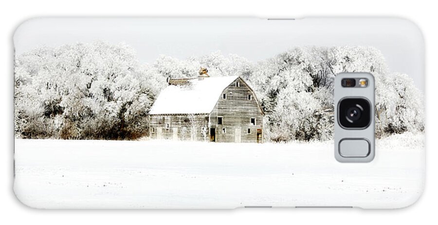 Barn Galaxy Case featuring the photograph Dressed in White by Julie Hamilton