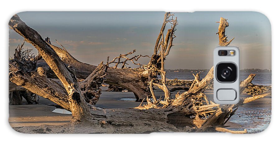 Trees Galaxy Case featuring the photograph Drifting wood by Roni Chastain