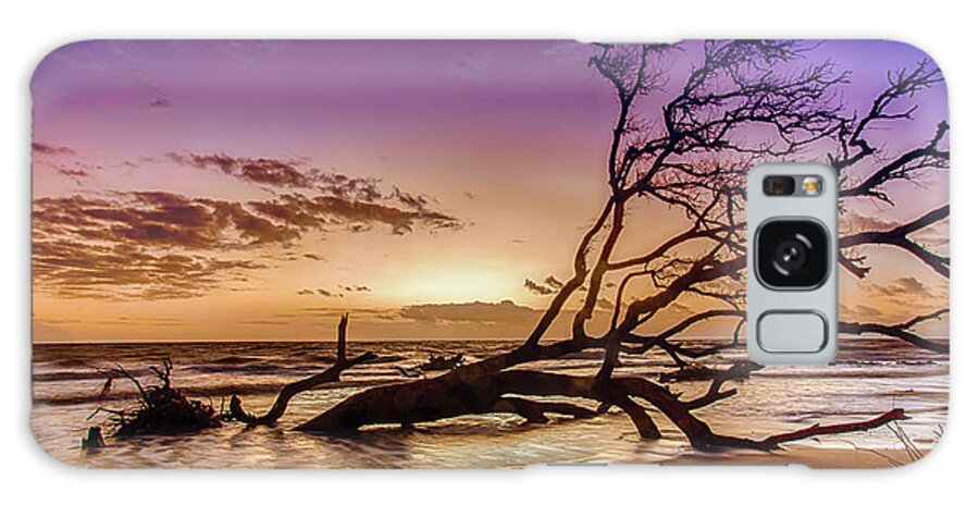 Landscape Galaxy Case featuring the photograph Driftwood Beach 2 by Dillon Kalkhurst