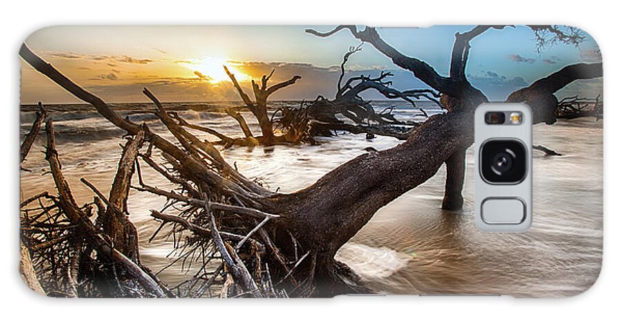 Landscape Galaxy Case featuring the photograph Driftwood Beach 7 by Dillon Kalkhurst