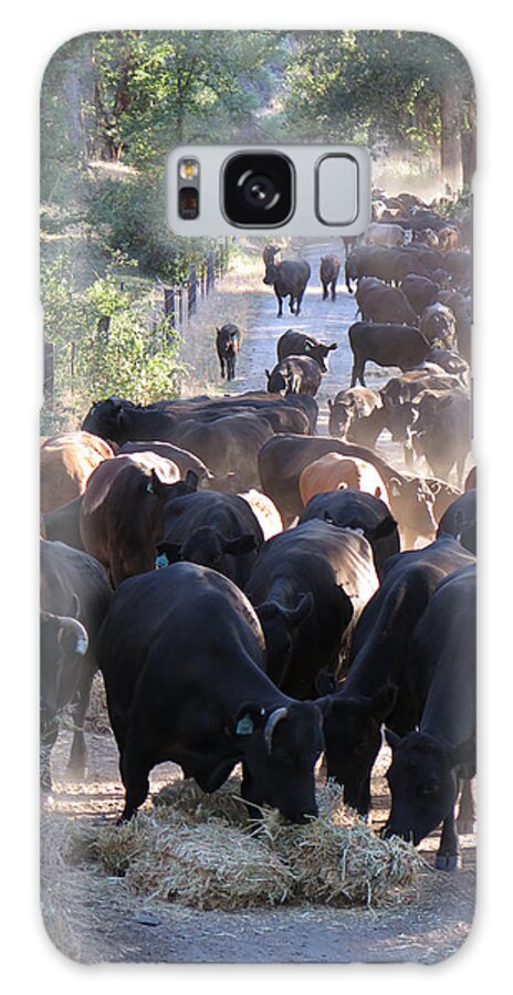 Cattle Drive Galaxy Case featuring the photograph Drive Through Diner by Diane Bohna