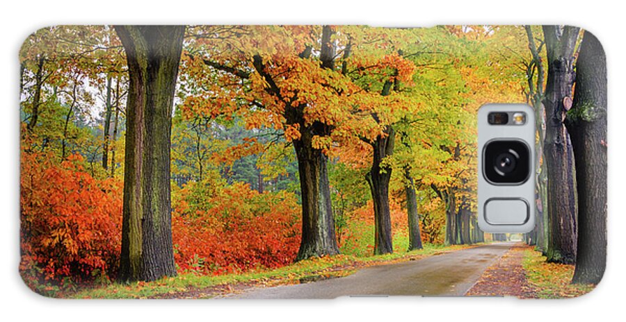 Europe Galaxy Case featuring the photograph Driving on the autumn roads by Dmytro Korol