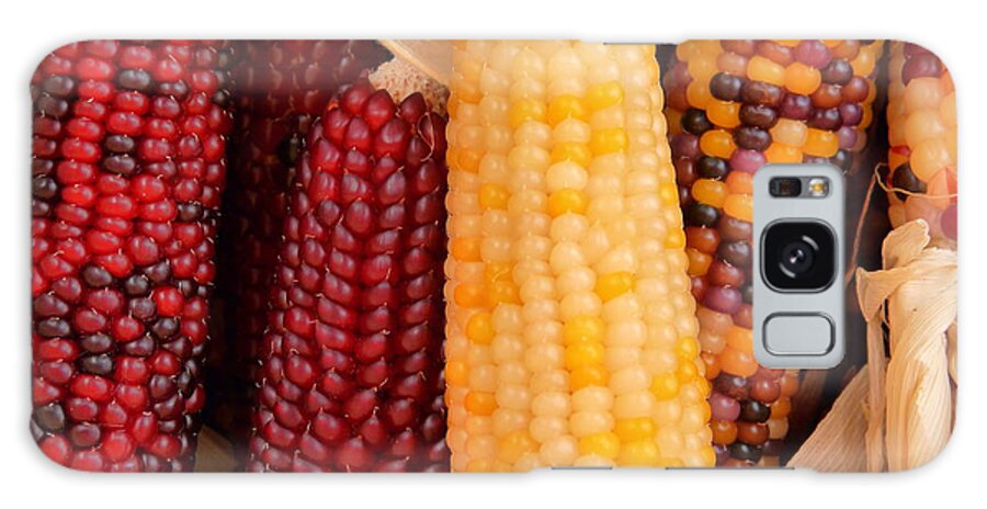 Indian Corn Galaxy Case featuring the photograph Dry Indian Corn by Jeff Lowe