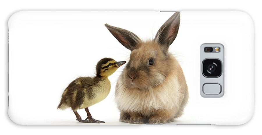 Lionhead Lop Galaxy Case featuring the photograph Duck out Bunny by Warren Photographic