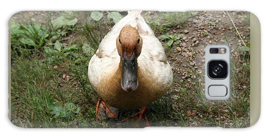 Duck Galaxy Case featuring the photograph Duck waiting for a treat by Valerie Collins