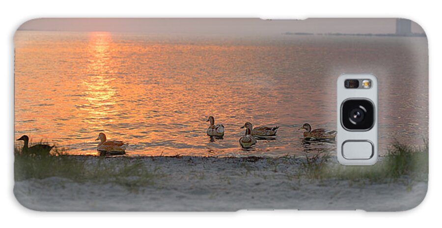 Ducks Galaxy Case featuring the photograph Ducks at Sunrise by Metaphor Photo