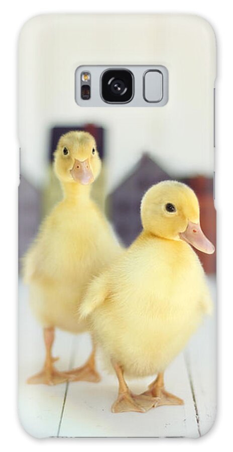 Duck Galaxy Case featuring the photograph Ducks in the Neighborhood by Amy Tyler