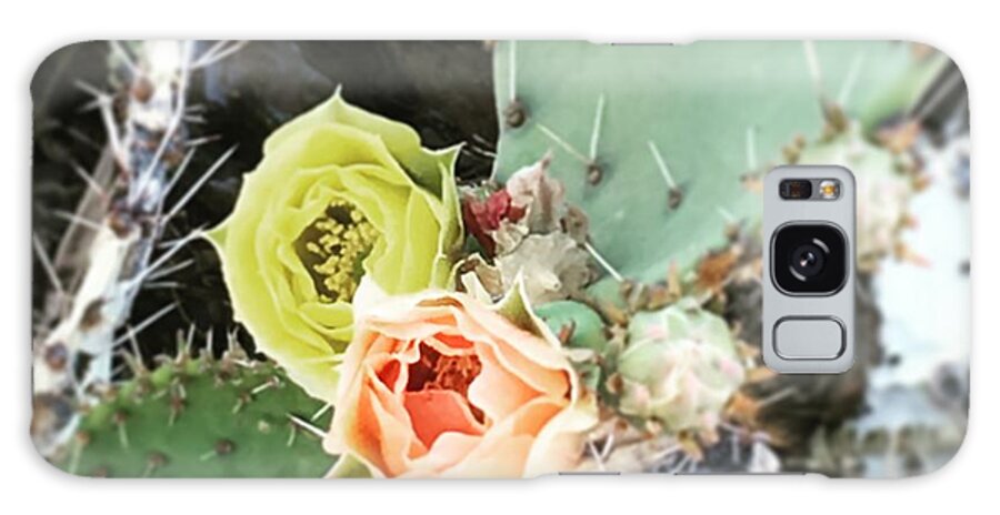 Flower Galaxy Case featuring the photograph Dueling Blooms by Melisa Elliott