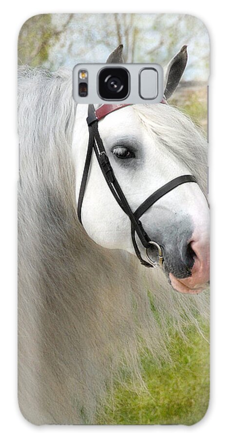 Horses Galaxy Case featuring the photograph Dunbrody by Fran J Scott