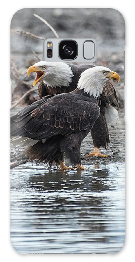 Bald Eagle Galaxy Case featuring the photograph Eagle Pair by David Kirby