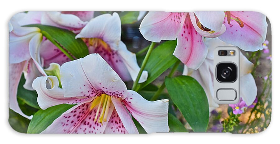 Lilies Galaxy S8 Case featuring the photograph Early August Tumble of Lilies by Janis Senungetuk