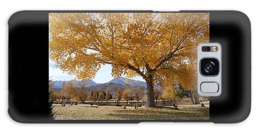 Earthy Galaxy Case featuring the photograph Earthy Fall Colors by Tammy Pool