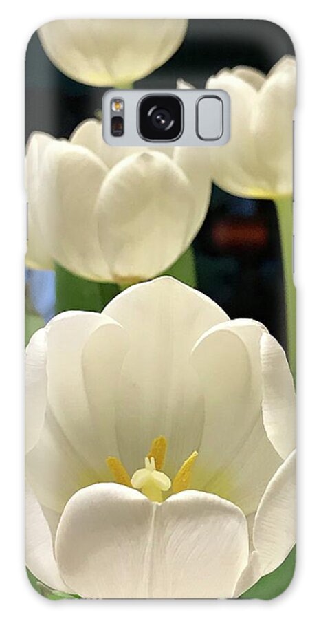 Tulips Galaxy Case featuring the photograph Easter Lillies by Louise Mingua