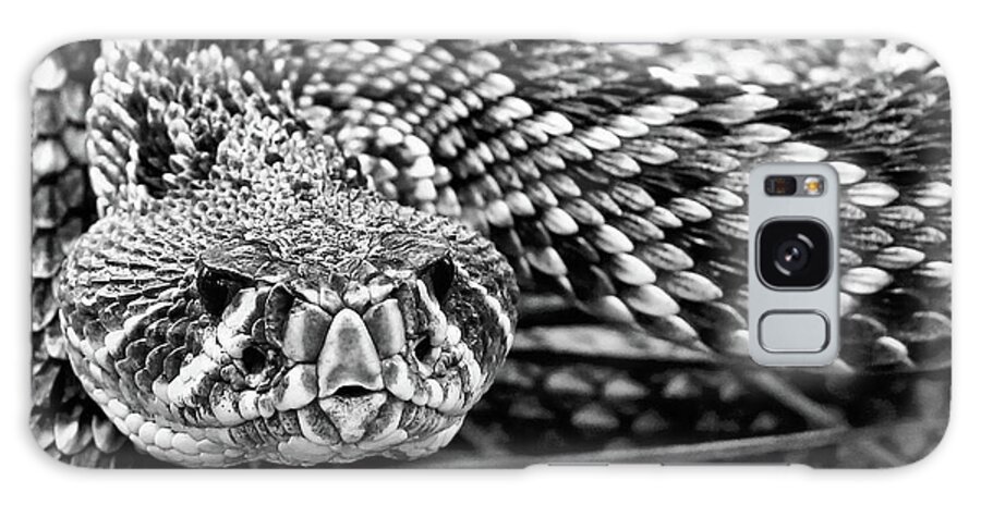 Rattlesnake Galaxy S8 Case featuring the photograph Eastern Diamondback Rattlesnake Black and White by JC Findley