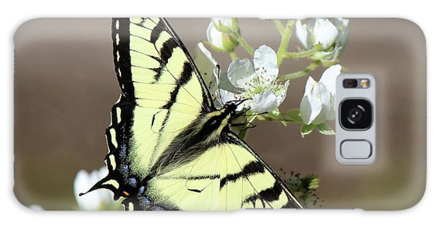 Butterfly Galaxy S8 Case featuring the photograph Eastern Tiger Swallowtail Female by David Pickett