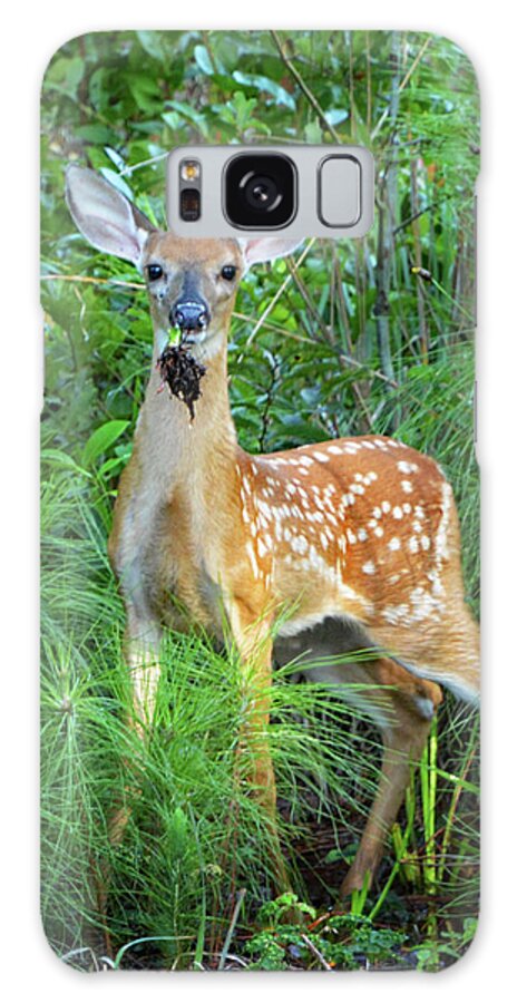 Deer Galaxy Case featuring the photograph Eating by Jerry Griffin