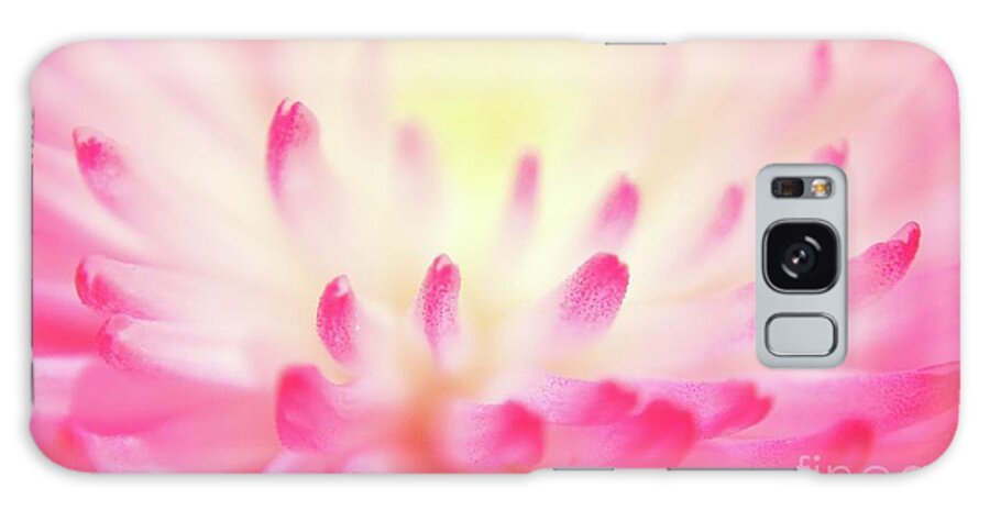 Flower Galaxy Case featuring the photograph Effervescence by Aimelle Ml