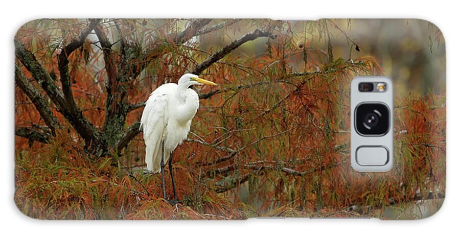 Egret Galaxy Case featuring the photograph Egret in Autumn by Eilish Palmer