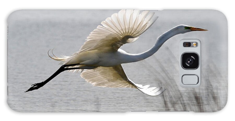  Galaxy S8 Case featuring the photograph Egret in Flight by Ann Bridges