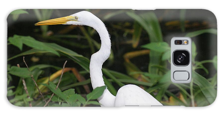 Florida Galaxy Case featuring the photograph Egret by Lindsey Floyd