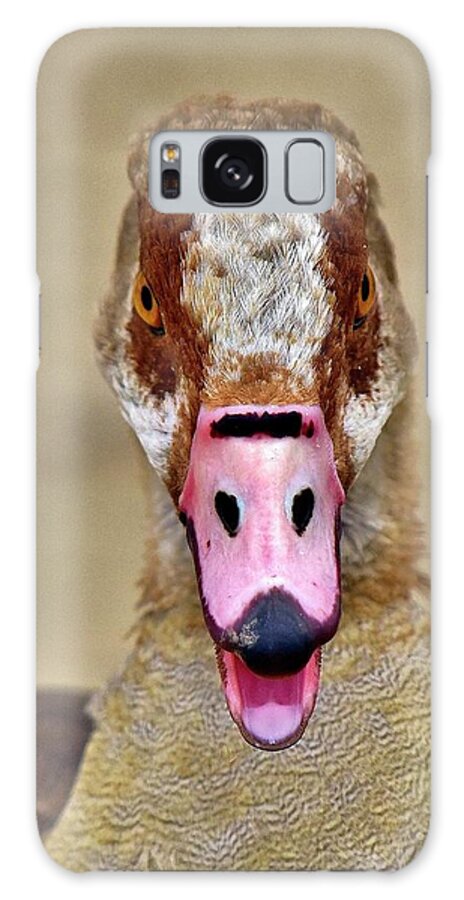 Linda Brody Galaxy Case featuring the photograph Egyptian Goose Stare by Linda Brody