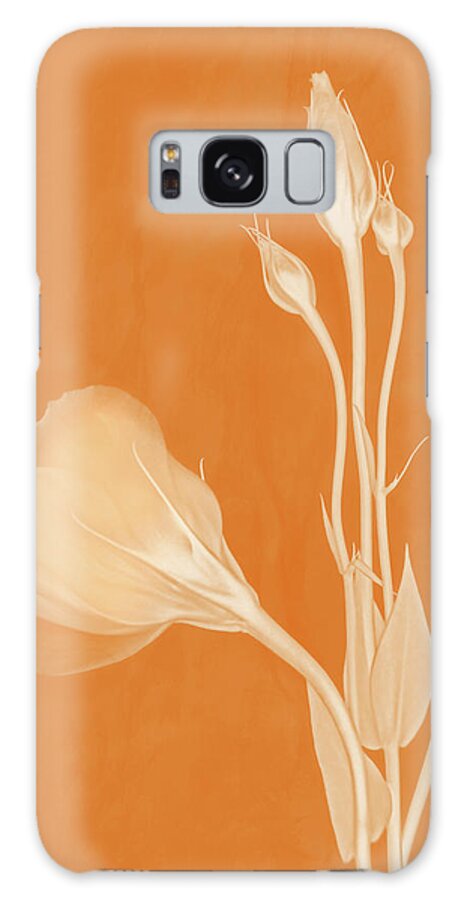 Lisianthus Flowers Galaxy S8 Case featuring the photograph Elegance in Apricot by Leda Robertson
