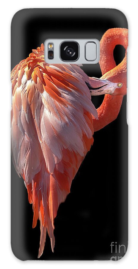 Dramatic Lighting Galaxy Case featuring the photograph Elegant Flamingo Preening by Liesl Walsh