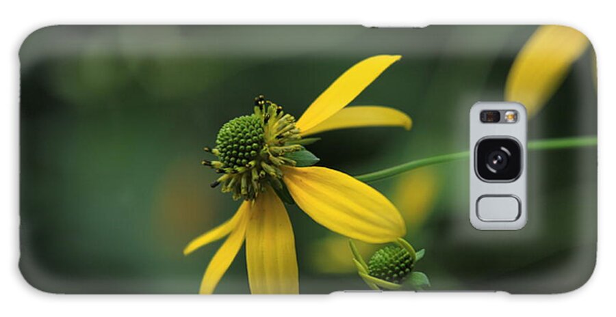 Wild Flower Galaxy Case featuring the photograph Elegant Yellow Wild Flower by Karen Ruhl