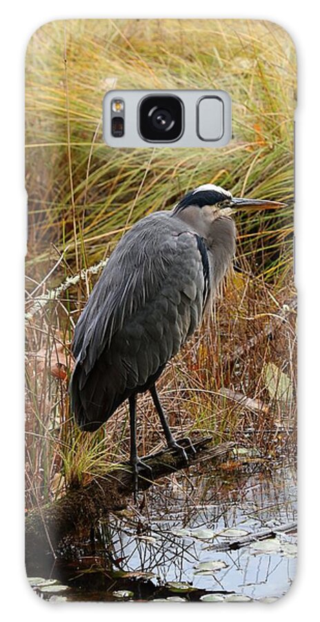 Great Blue Heron Galaxy Case featuring the photograph Elements of Nature by I'ina Van Lawick