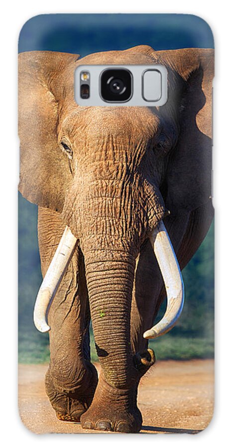 Elephant Galaxy Case featuring the photograph Elephant approaching by Johan Swanepoel